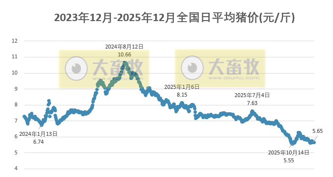 2025.12.08今天猪价行情分析