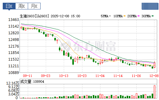 2025.12.09今天猪价行情分析