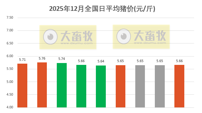 2025.12.09今天猪价行情分析