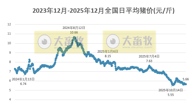 2025.12.09今天猪价行情分析