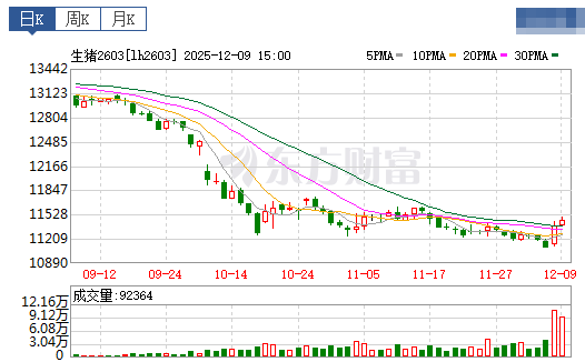 2025.12.10今天猪价行情分析