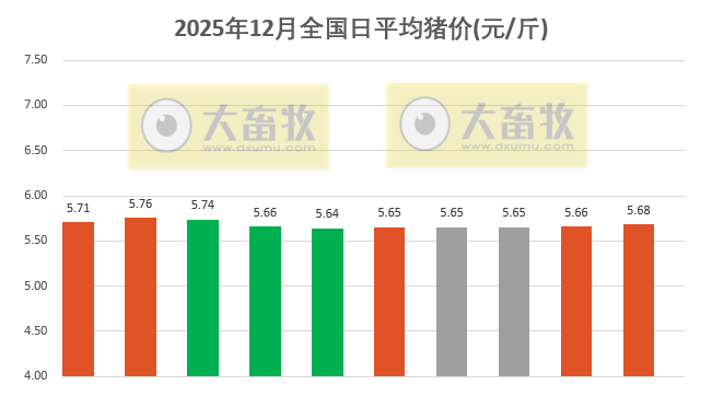 2025.12.10今天猪价行情分析