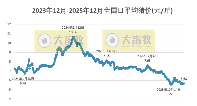 2025.12.10今天猪价行情分析