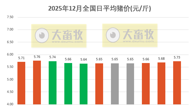 2025.12.11今天猪价行情分析