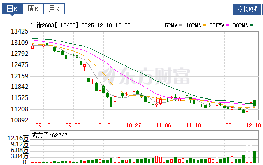 2025.12.11今天猪价行情分析
