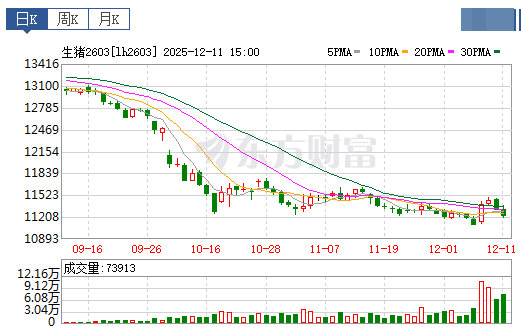 2025.12.12今天猪价行情分析