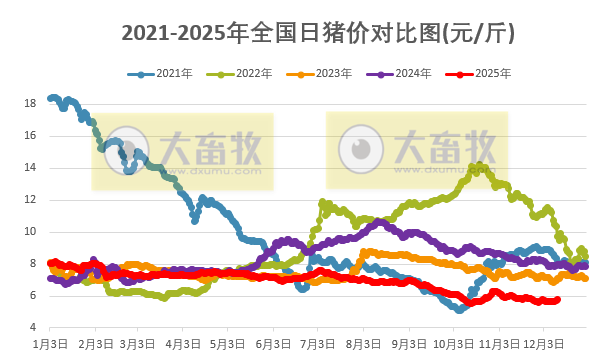 2025.12.12今天猪价行情分析