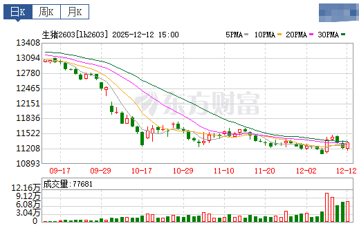 2025.12.13今天猪价行情分析