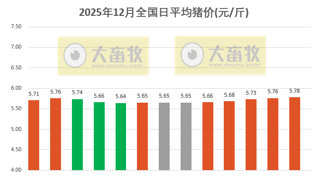 2025.12.13今天猪价行情分析