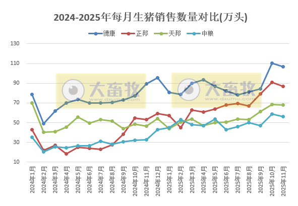 牧原、温氏等23家上市猪企2025年11月及前11月生猪销售业绩PK