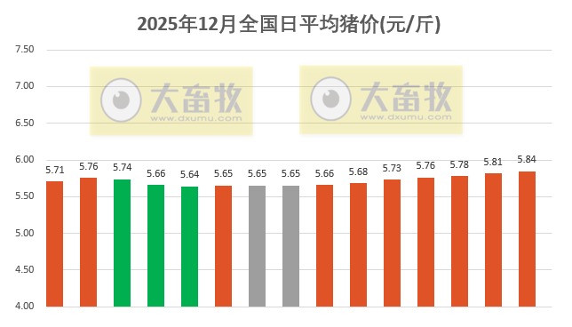 2025.12.15今天猪价行情分析