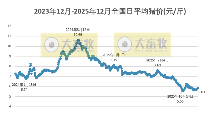 2025.12.16今天猪价行情分析