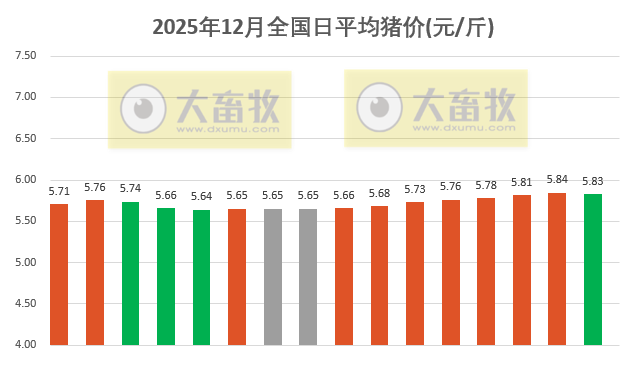 2025.12.16今天猪价行情分析