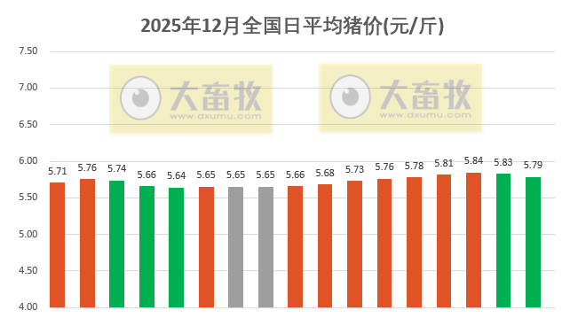 2025.12.17今天猪价行情分析