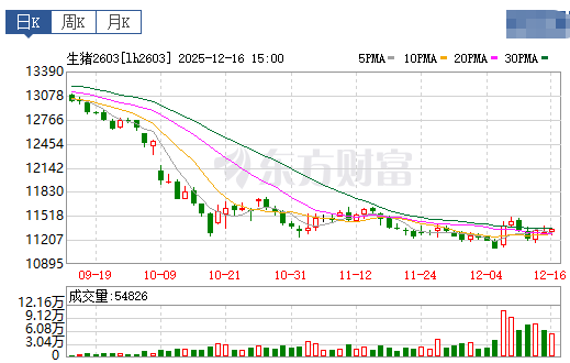 2025.12.17今天猪价行情分析