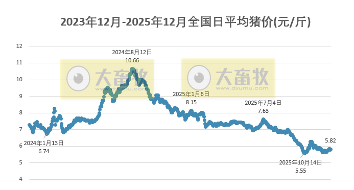 2025.12.18今天猪价行情分析