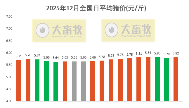 2025.12.18今天猪价行情分析