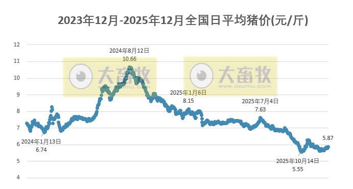 2025.12.19今天猪价行情分析