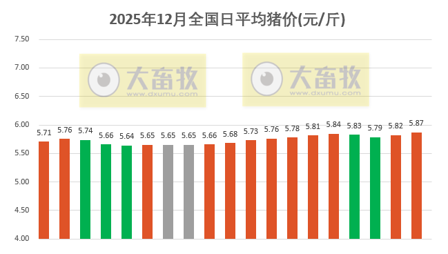 2025.12.19今天猪价行情分析