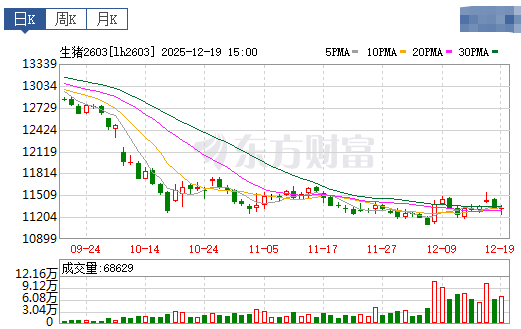 2025.12.20今天猪价行情分析