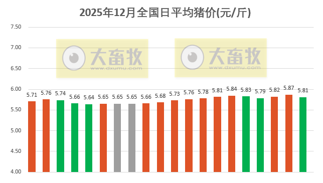 2025.12.20今天猪价行情分析