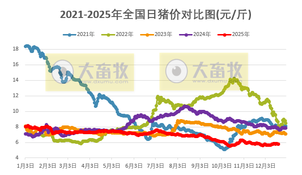 2025.12.21今天猪价行情分析