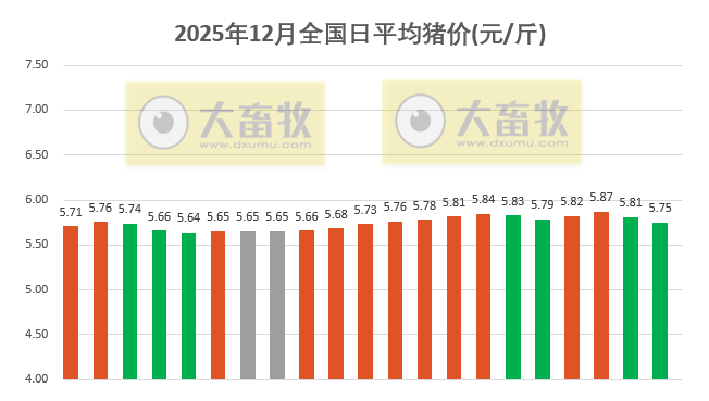 2025.12.21今天猪价行情分析