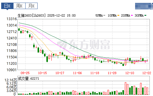 2025.12.23今天猪价行情分析