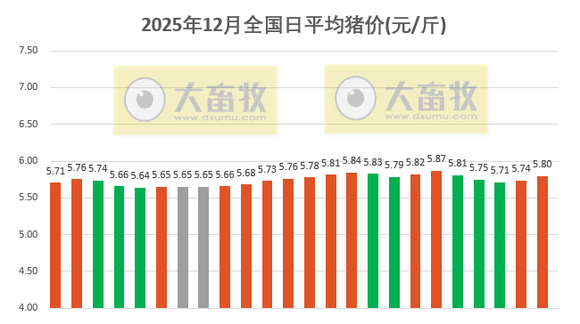 2025.12.24今天猪价行情分析
