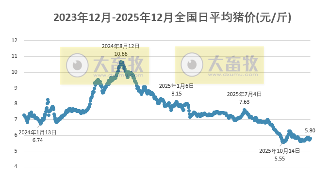 2025.12.24今天猪价行情分析