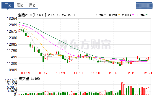 2025.12.25今天猪价行情分析
