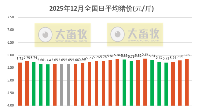 2025.12.25今天猪价行情分析