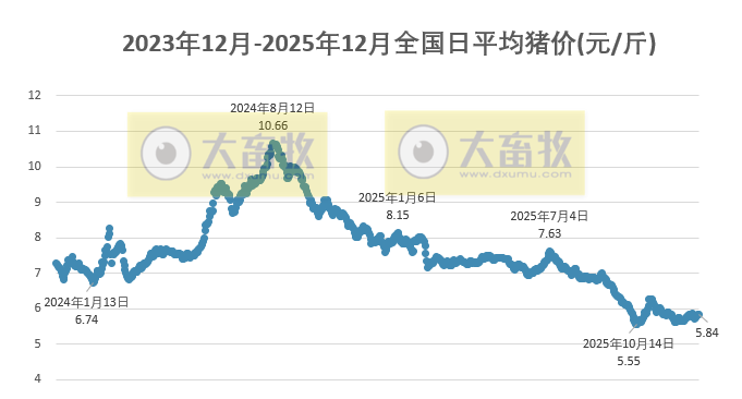2025.12.26今天猪价行情分析