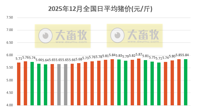 2025.12.26今天猪价行情分析