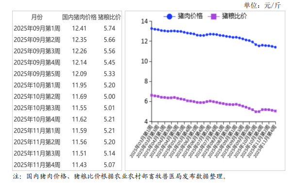 2025年11月国内和国际猪肉市场行情分析——外购仔猪养殖头均亏损270元