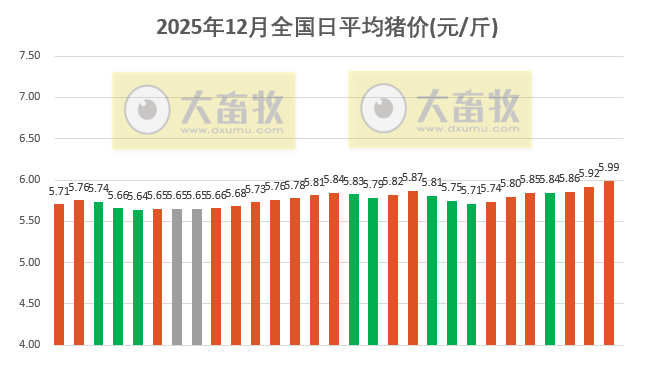 2025.12.29今天猪价行情分析