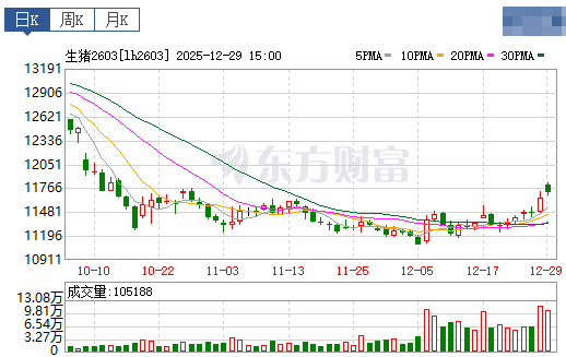 2025.12.30今天猪价行情分析