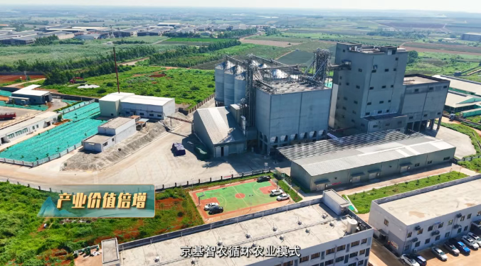 京基智农“菠萝香猪”变废为宝,智能养殖塑造现代农业新范式