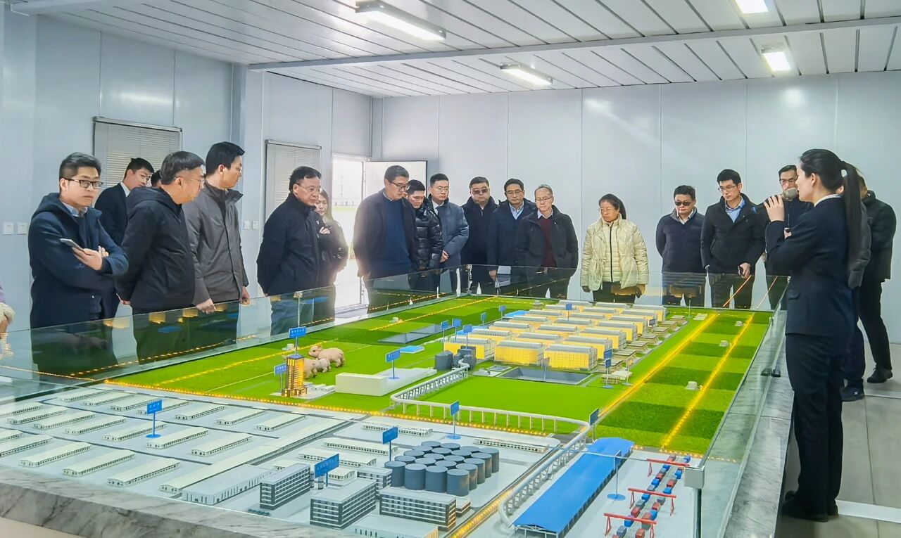 生猪养殖两巨头牧原和温氏聚首，共同推动养猪业高质量发展