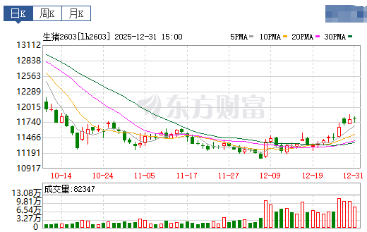 2026.01.01今天猪价行情分析