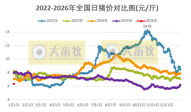 2026.01.01今天猪价行情分析