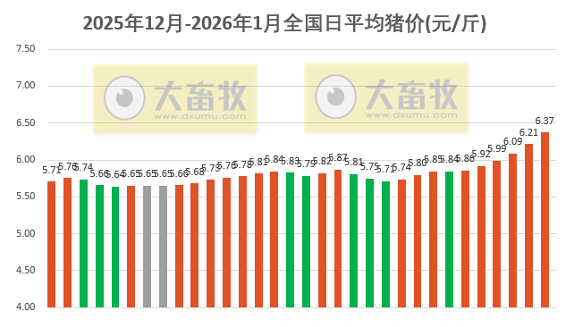 2026.01.01今天猪价行情分析