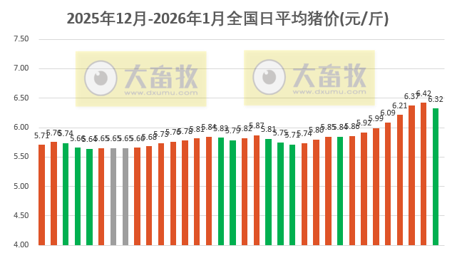 2026.01.03今天猪价行情分析