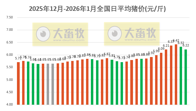 2026.01.04今天猪价行情分析