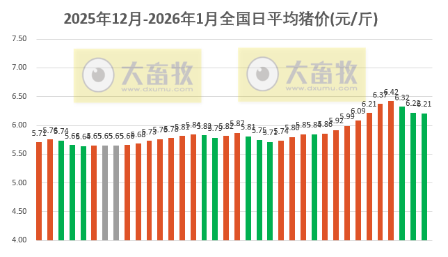 2026.01.05今天猪价行情分析