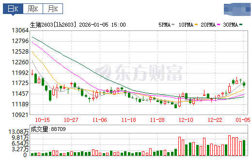 2026.01.06今天猪价行情分析