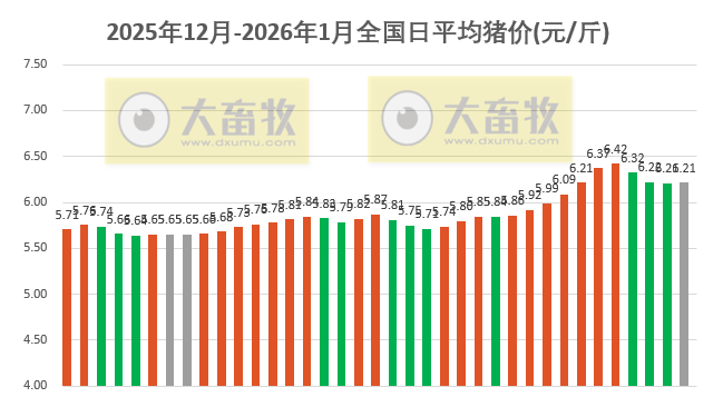 2026.01.06今天猪价行情分析
