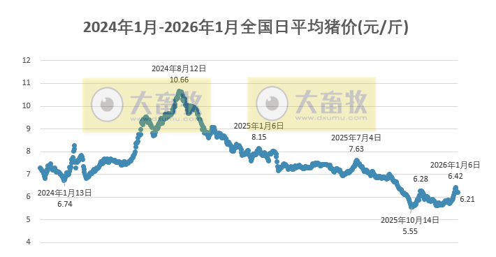 2026.01.06今天猪价行情分析