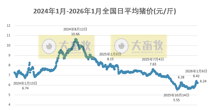 2026.01.07今天猪价行情分析
