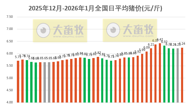 2026.01.07今天猪价行情分析